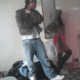 Bassvictim