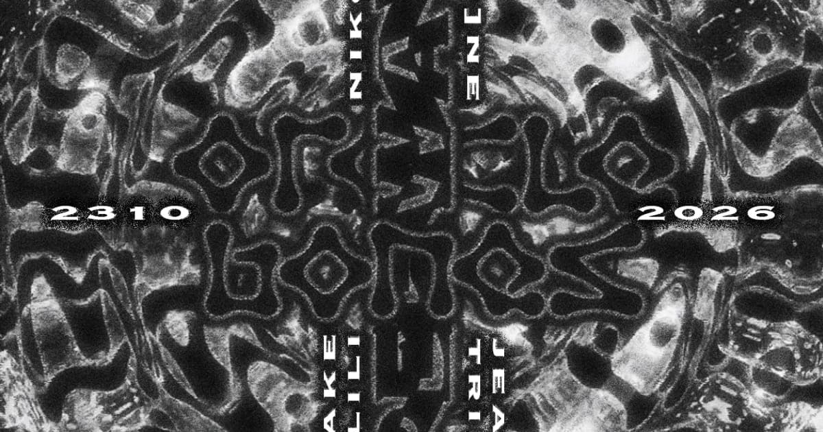 HYPERWAVES X Oracle Bones