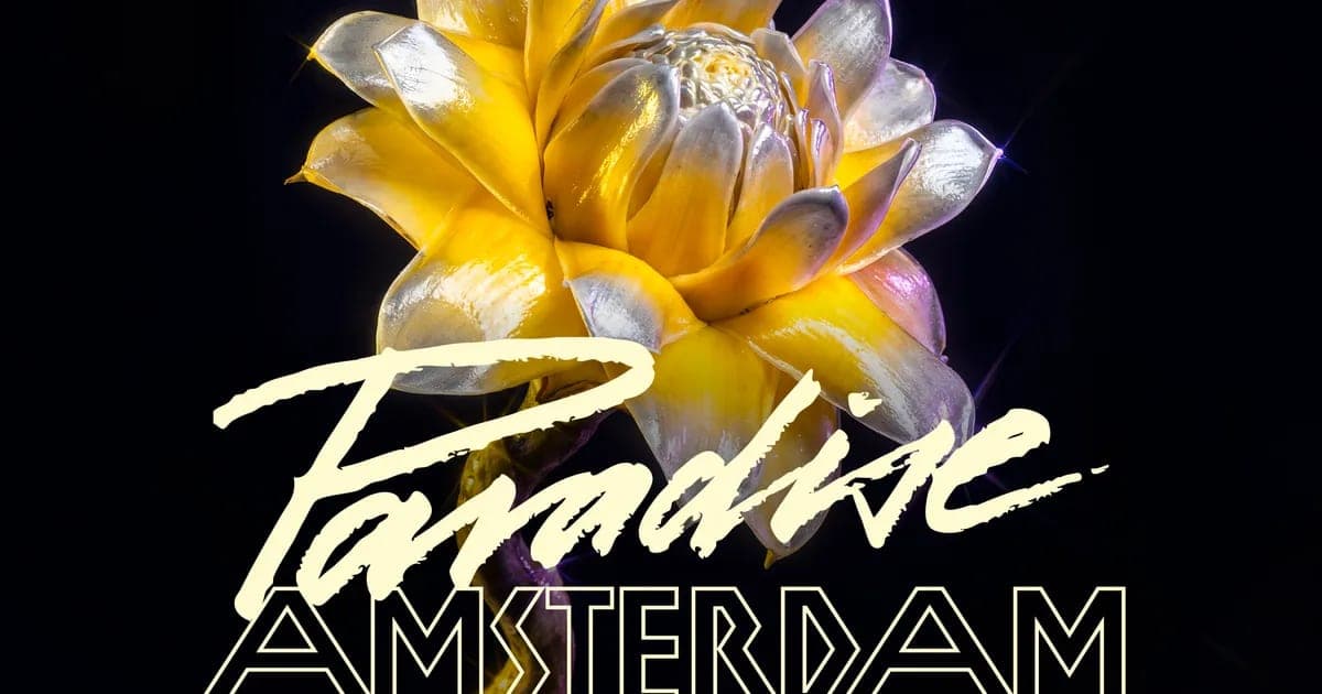 Paradise x Loveland